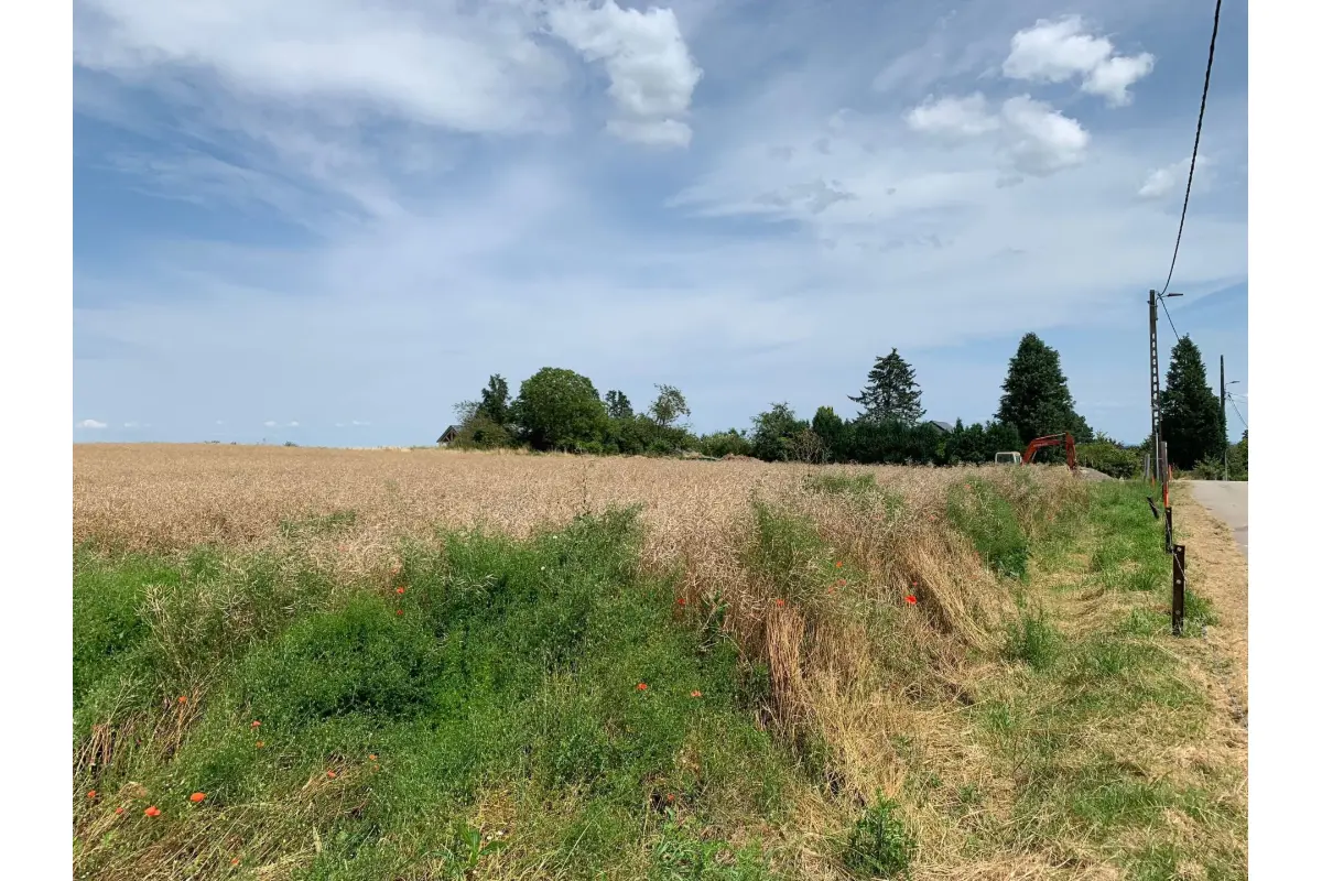 Terrain à vendre à Hastière 5540 70000.00€  chambres m² - annonce 175637