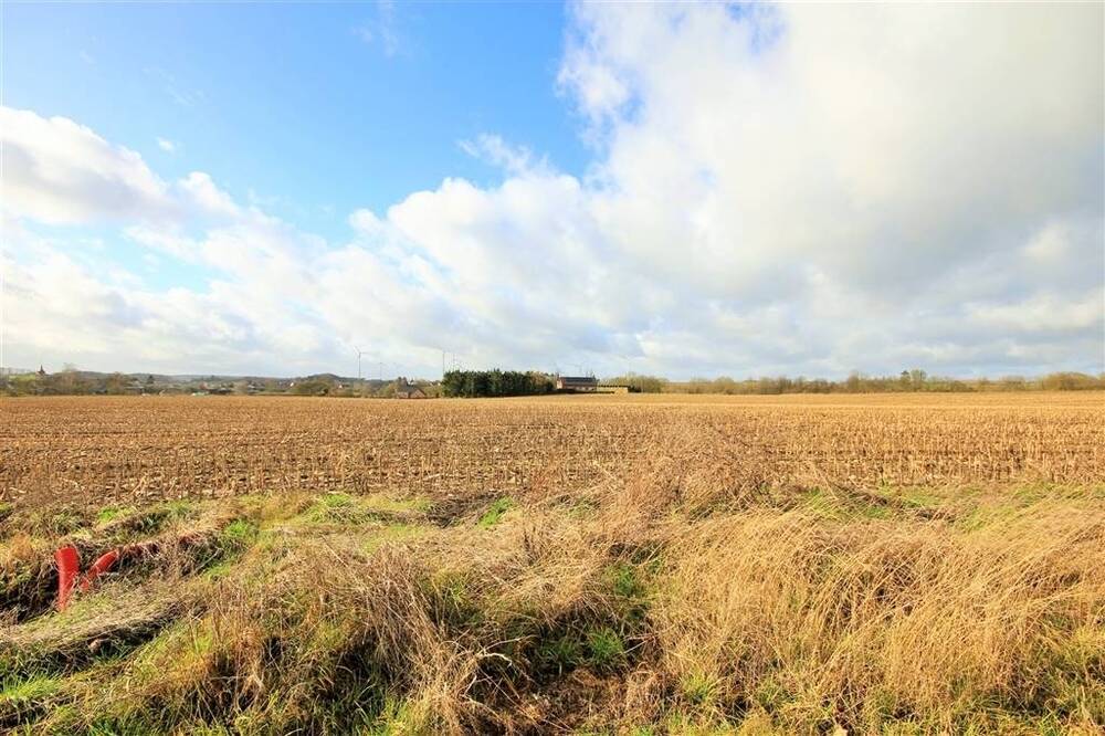 Terrain à vendre à Neuville 5600 74000.00€ chambres m² - annonce 386