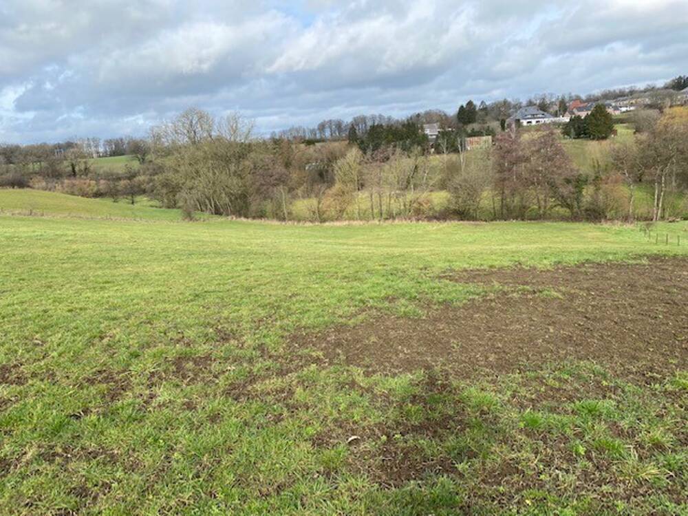 Terrain à vendre à Morialmé 5621 250000.00€ chambres m² - annonce 5575