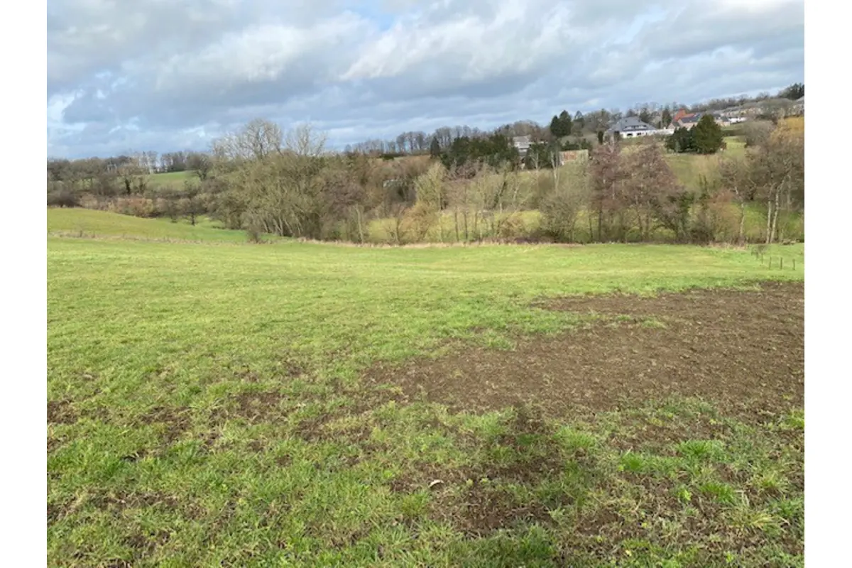 Terrain à vendre à Morialmé 5621 250000.00€  chambres m² - annonce 651052