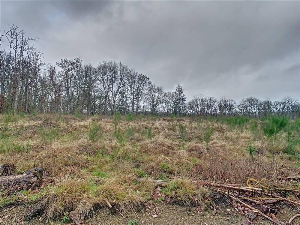Terrain à vendre à Somme-Leuze 5377 249500.00€ chambres m² - annonce 5986