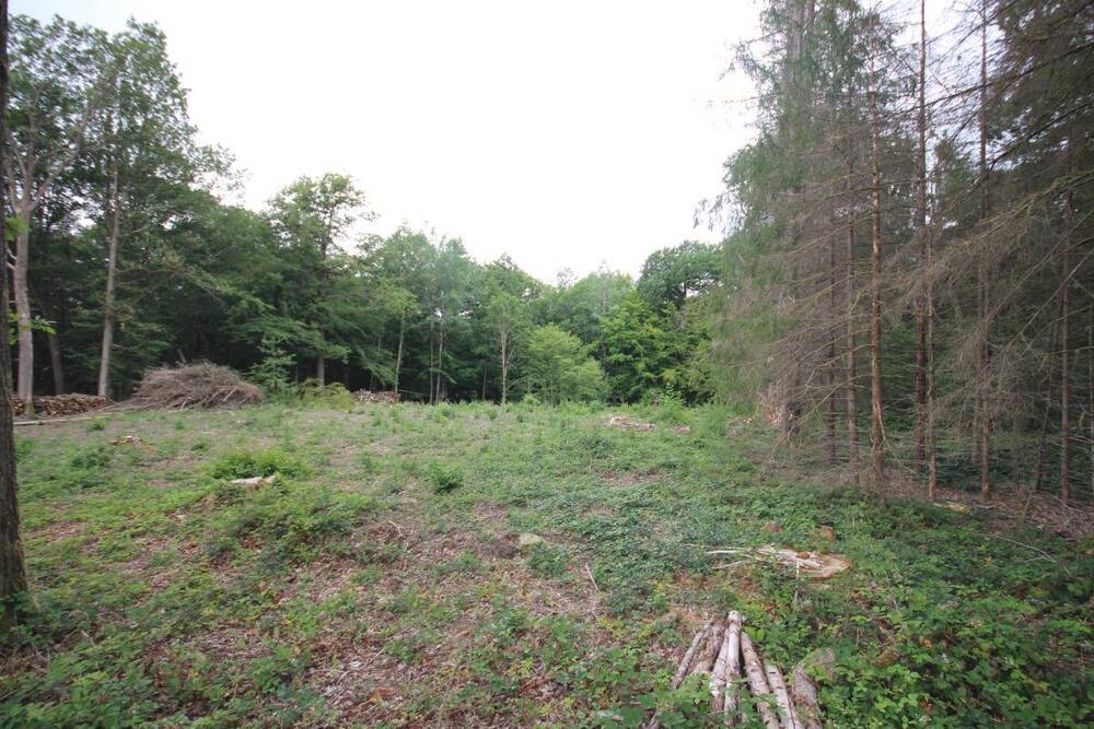 Terrain à vendre à Roly 5600 48000.00€ chambres m² - annonce 12887
