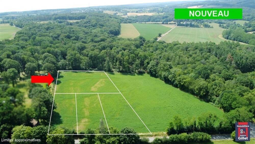 Terrain à vendre à Coutisse 5300 45000.00€ chambres m² - annonce 13949