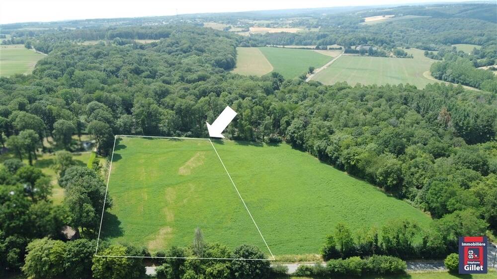 Terrain à vendre à Coutisse 5300 99000.00€ chambres m² - annonce 19736