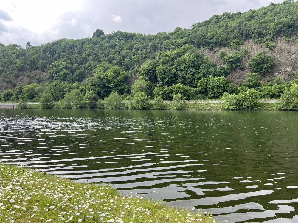 Terrain à vendre à Hastière-par-Delà 5541 130000.00€ chambres m² - annonce 28751