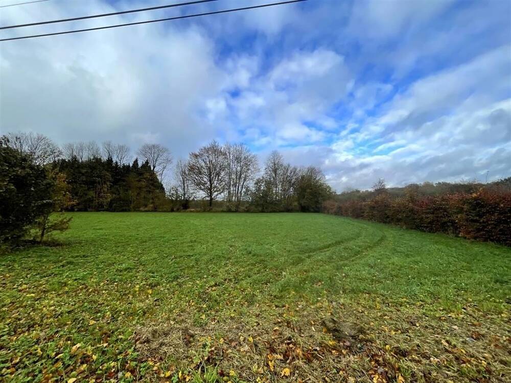 Terrain à vendre à Couvin 5660 45000.00€ chambres m² - annonce 42885