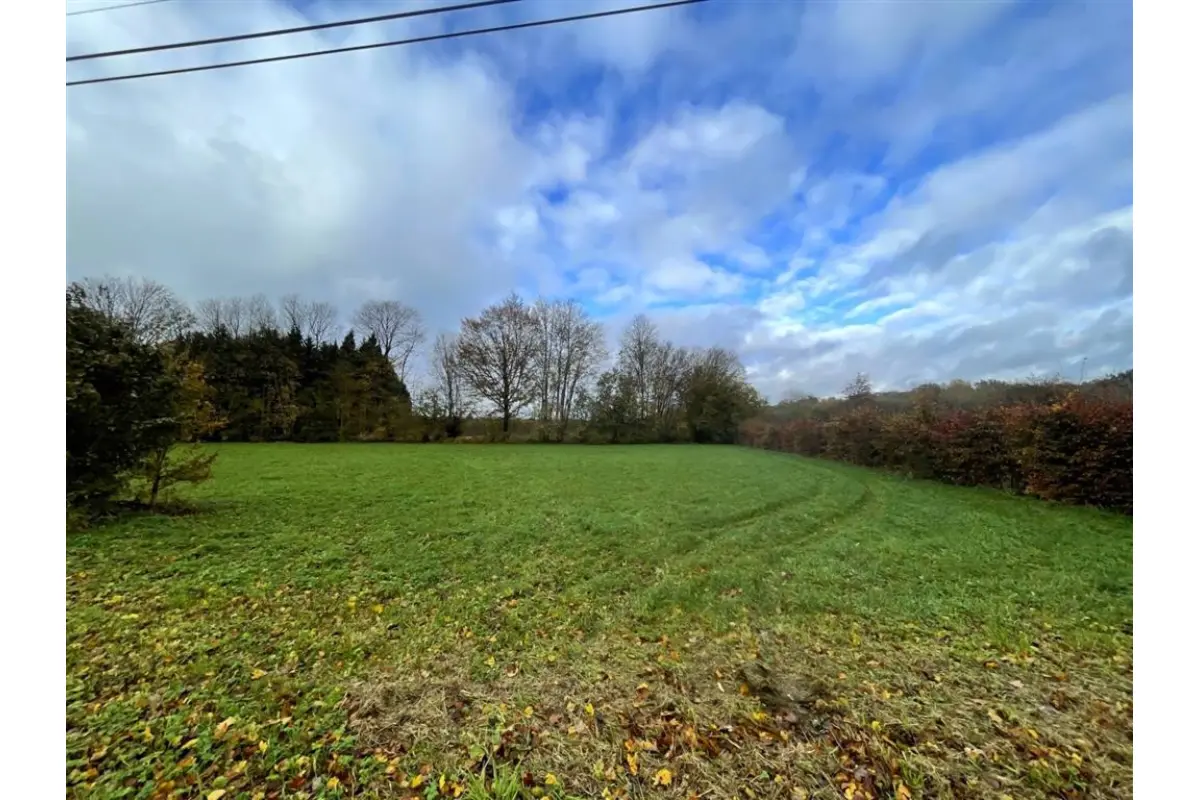 Terrain à vendre à Aublain 5660 39500.00€  chambres m² - annonce 42885