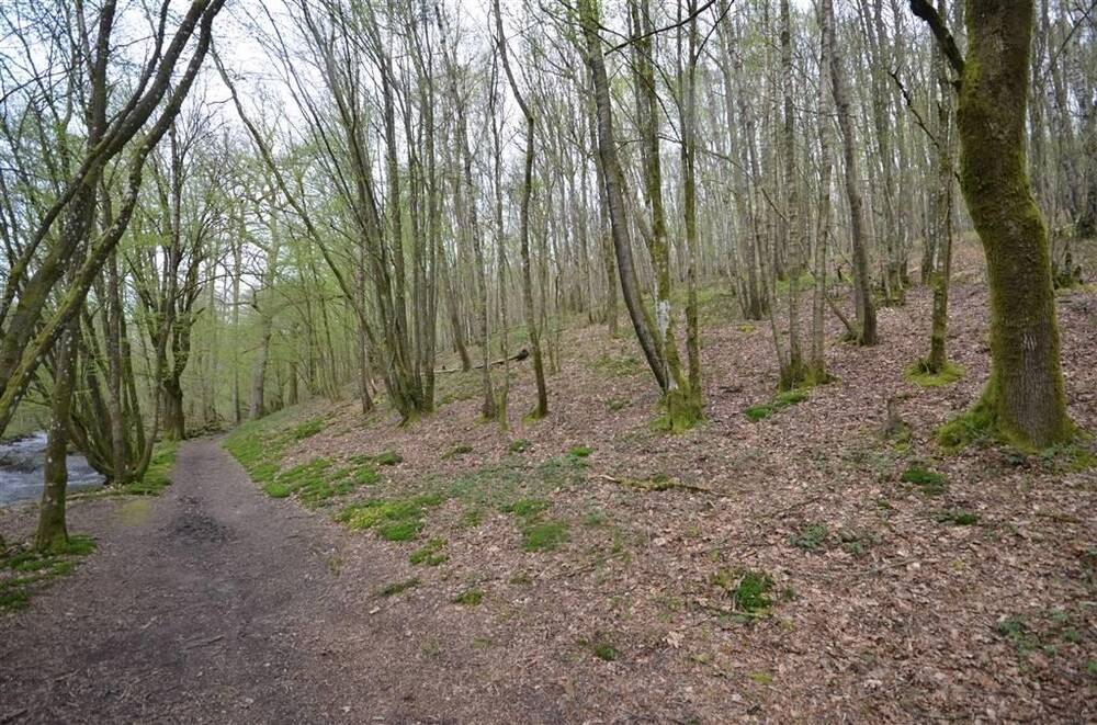 Terrain à vendre à Oignies-en-Thiérache 5670 95000.00€ chambres m² - annonce 51647