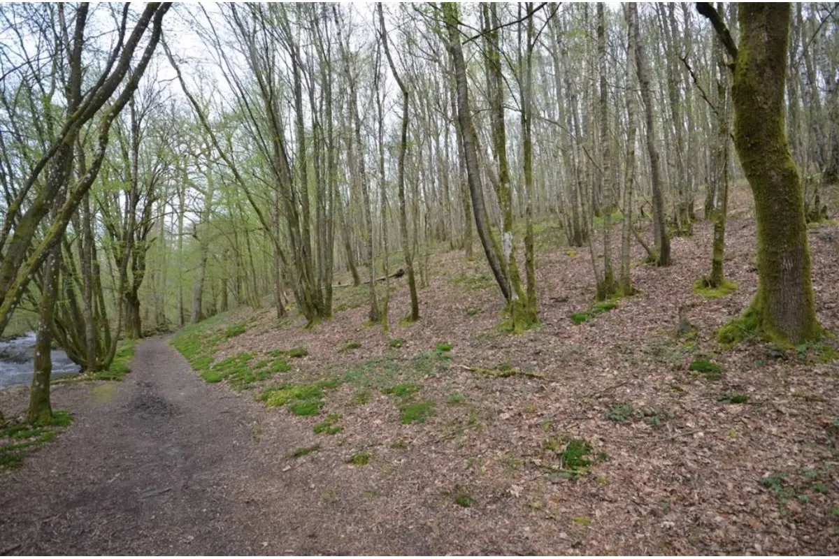 Terrain à vendre à Oignies-en-Thiérache 5670 75000.00€  chambres m² - annonce 51647