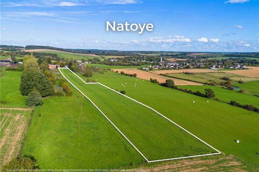 Terrain à bâtir à vendre à Natoye 5360 199000.00€ 1 chambres m² - annonce 1381874