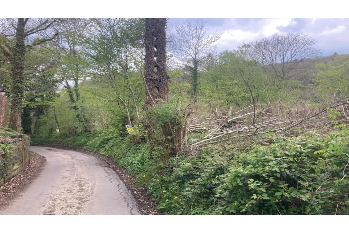 Terrain à vendre à Couvin 5660 75000.00€  chambres m² - annonce 229259