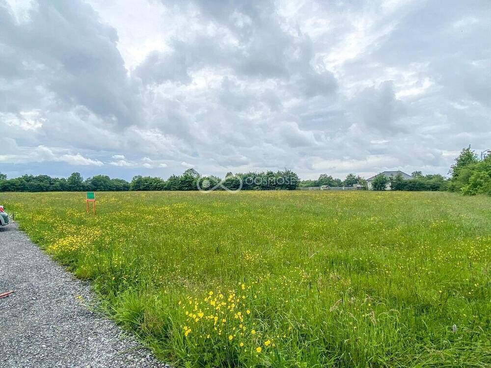 Terrain à vendre à Couvin 5660 42000.00€ chambres m² - annonce 98278