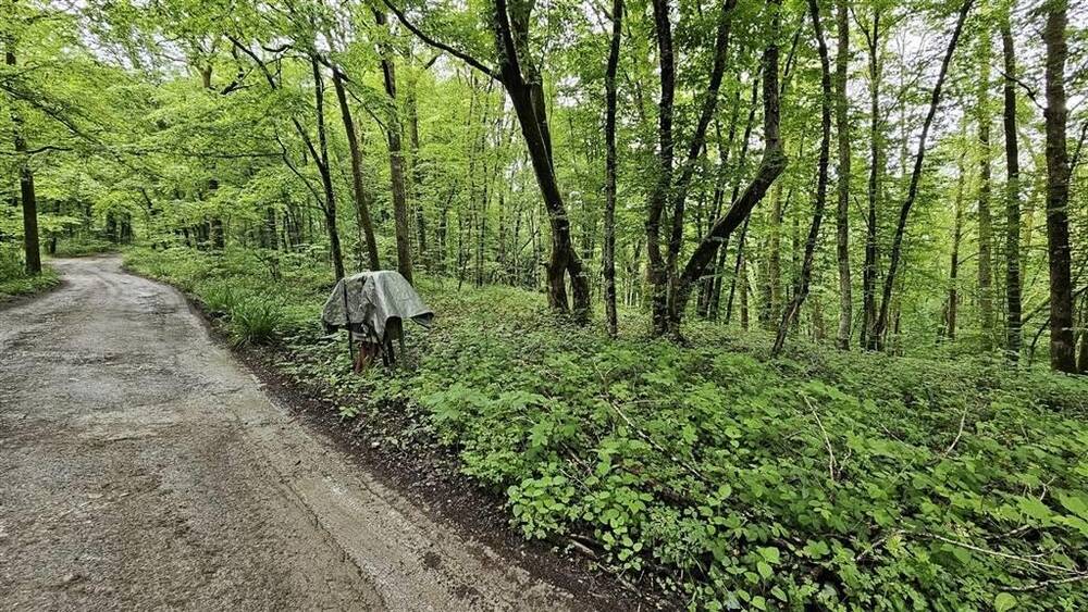 Terrain à vendre à Cerfontaine 5630 100000.00€ chambres m² - annonce 123737