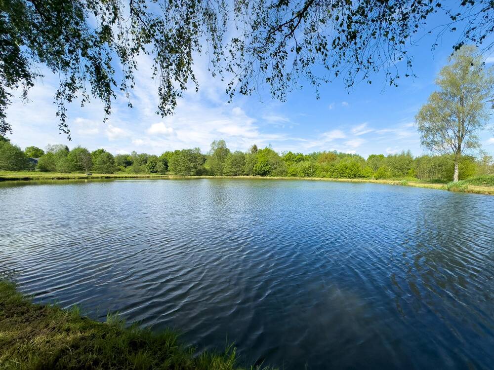 Maison à vendre à Bièvre 5555 450000.00€ 4 chambres 230.00m² - annonce 143530