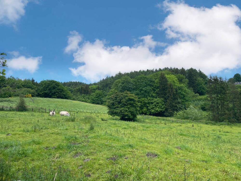 Terrain à vendre à Baillamont 5555 99000.00€ chambres m² - annonce 142845