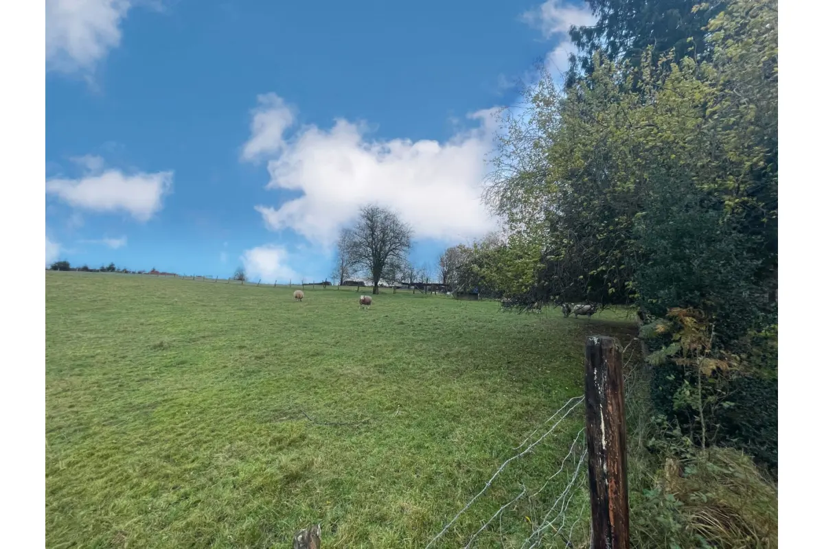 Terrain à vendre à Bièvre 5555 99000.00€  chambres m² - annonce 143522