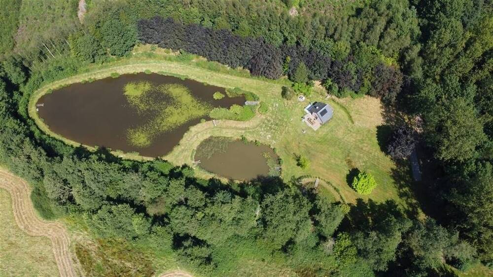 Terrain à vendre à Brûly-de-Pesche 5660 210000.00€  chambres m² - annonce 568663