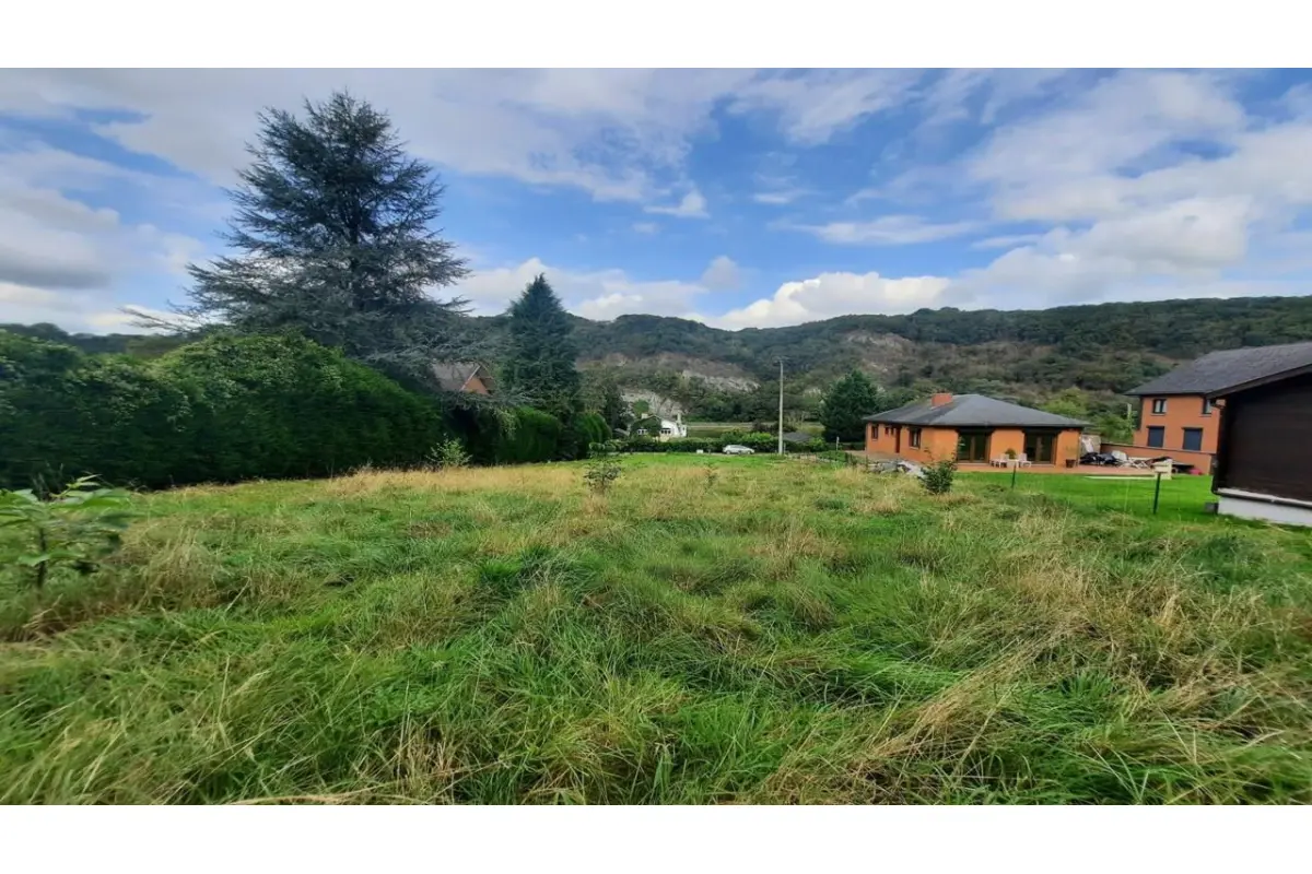 Terrain à vendre à Hastière-par-Delà 5541 80000.00€  chambres m² - annonce 200219