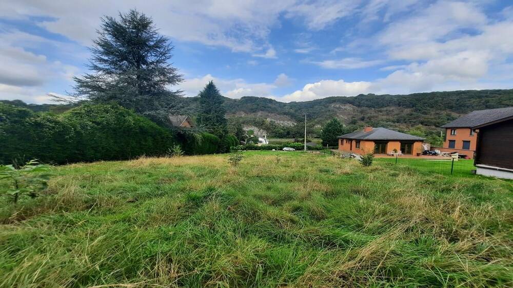 Terrain à vendre à Hastière-par-Delà 5541 80000.00€ chambres m² - annonce 200219