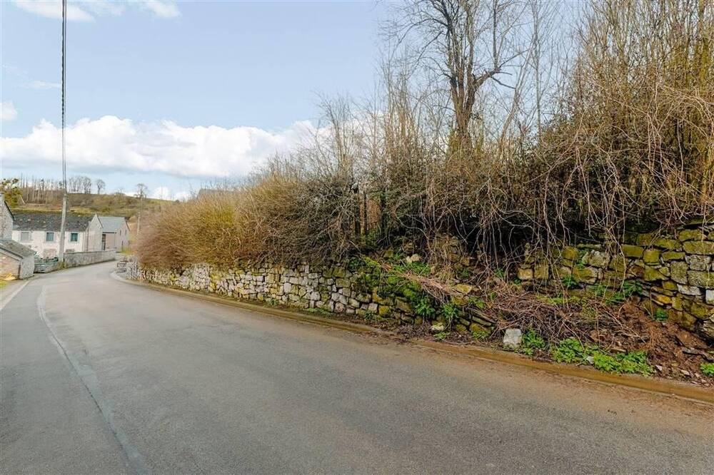 Terrain à vendre à Dinant 5500 65000.00€ chambres m² - annonce 210234