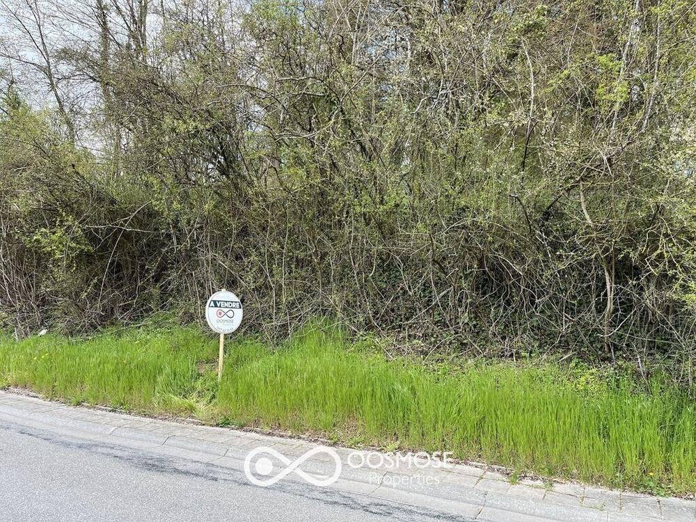 Terrain à vendre à Cerfontaine 5630 45000.00€ chambres m² - annonce 223801