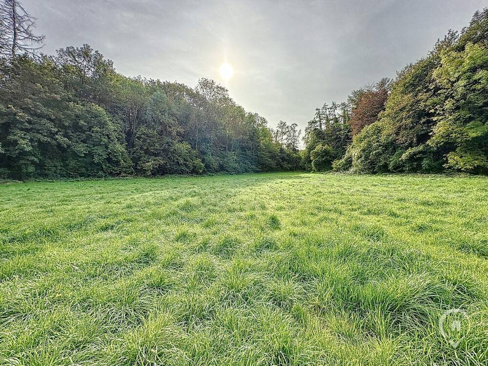 Terrain à vendre à Dion 5570 145000.00€ chambres m² - annonce 250306