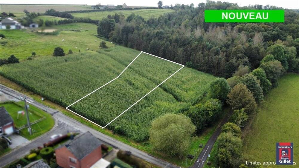 Terrain à vendre à Hamois 5360 110000.00€ chambres m² - annonce 252788
