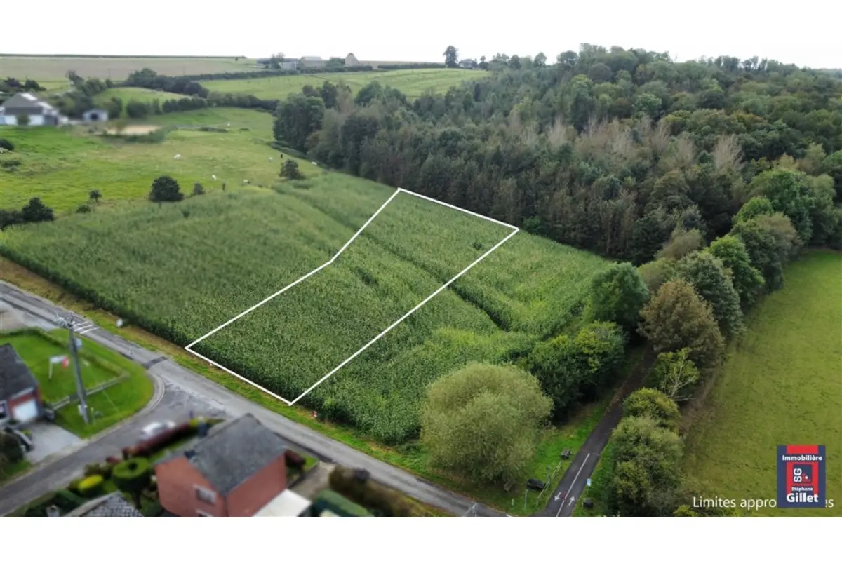 Terrain à vendre à Hamois 5360 110000.00€  chambres m² - annonce 252788