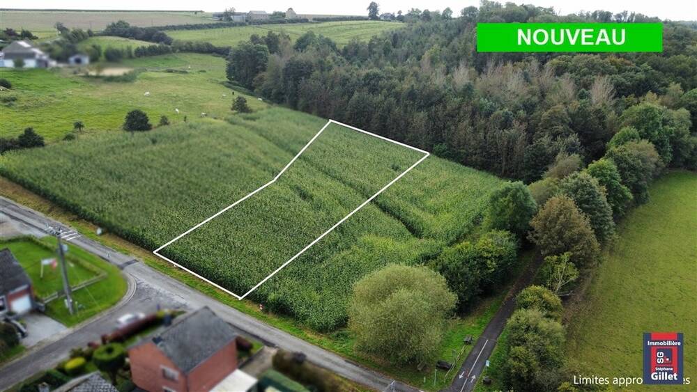 Terrain à vendre à Hamois 5360 110000.00€ chambres m² - annonce 252788