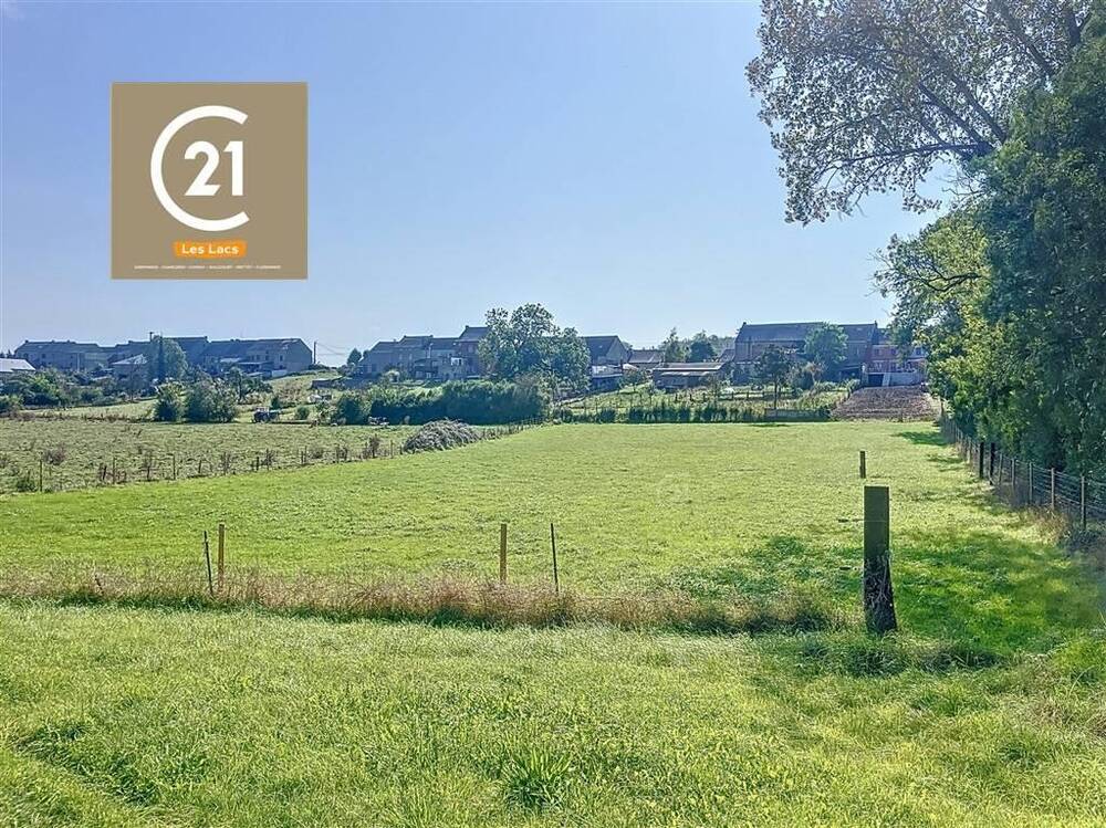 Terrain à vendre à Romerée 5680 70000.00€ chambres m² - annonce 273862
