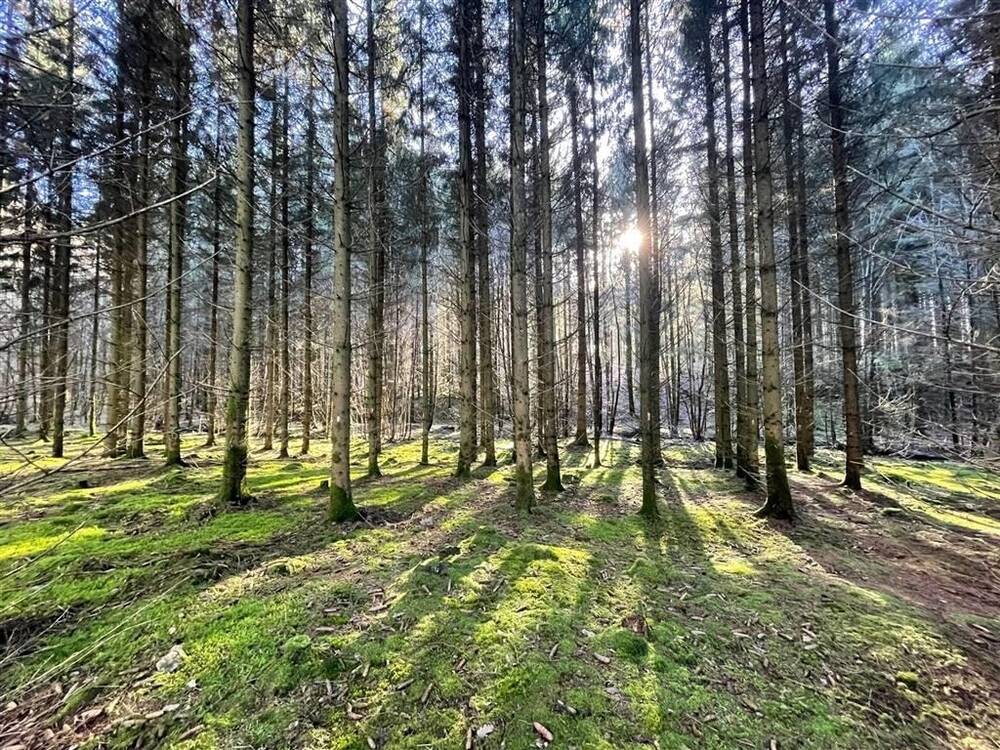 Terrain à vendre à Brûly-de-Pesche 5660 115060.00€ chambres m² - annonce 306526