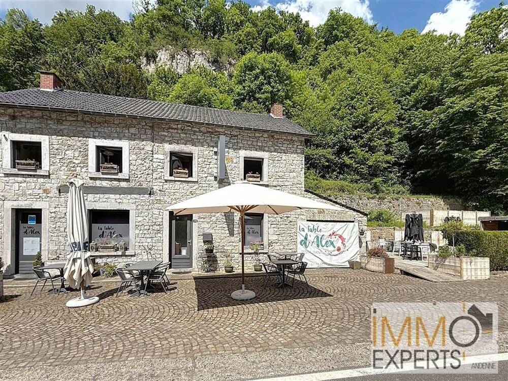 Maison à vendre à Thon 5300 260000.00€ 2 chambres 163.00m² - annonce 471216