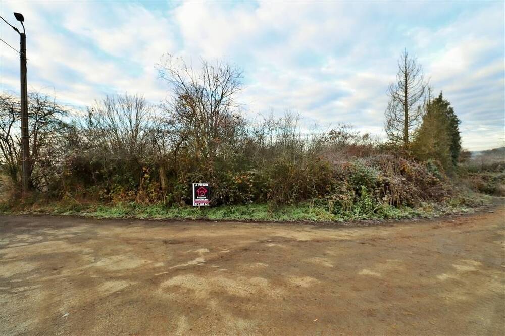 Terrain à vendre à Somzée 5651 15000.00€ chambres m² - annonce 331035