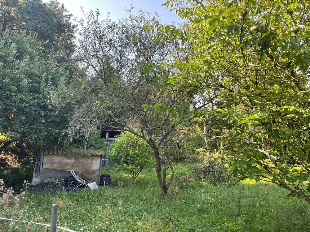 Terrain à vendre à Agimont 5544 65000.00€ chambres m² - annonce 343610