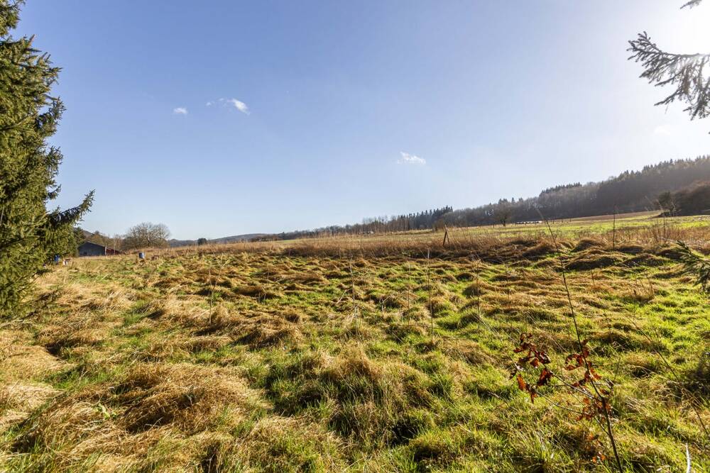 Terrain à vendre à Dourbes 5670 54000.00€ chambres m² - annonce 343398