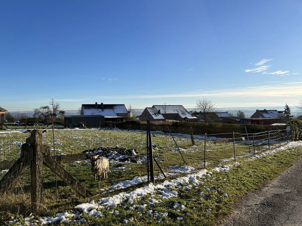 Terrain à vendre à Feschaux 5570 49500.00€ chambres m² - annonce 427831