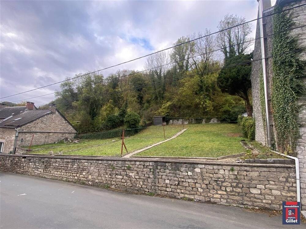 Terrain à vendre à Thon 5300 47500.00€ chambres m² - annonce 372876