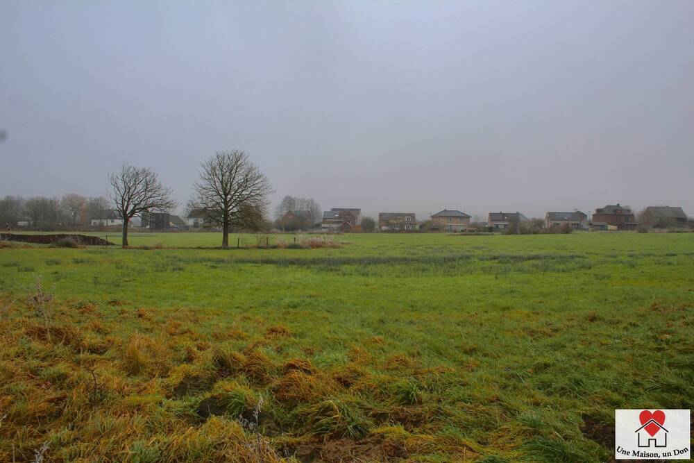 Terrain à vendre à Couvin 5660 80000.00€ chambres m² - annonce 377835