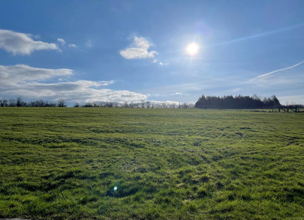 Terrain à vendre à Dion 5570 88000.00€ chambres m² - annonce 377997