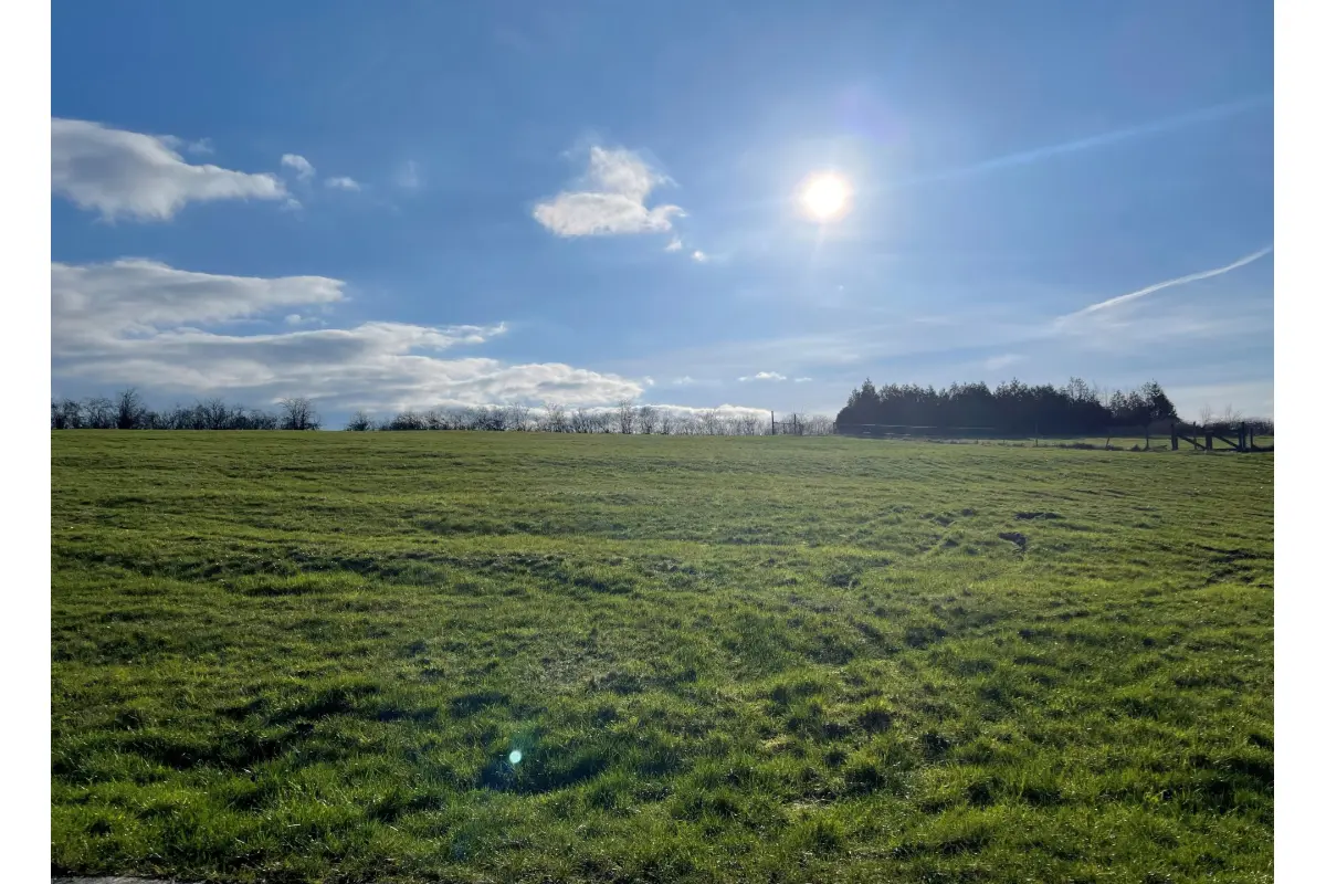 Terrain à vendre à Dion 5570 88000.00€  chambres m² - annonce 377997