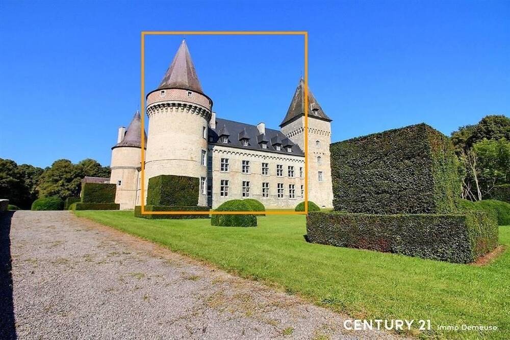 Maison à vendre à Anthée 5520 995000.00€ 6 chambres 600.00m² - annonce 382153