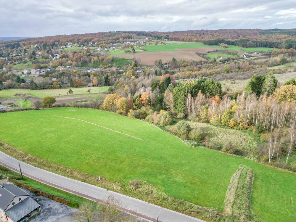 Terrain à vendre à Gedinne 5575 57500.00€ chambres m² - annonce 400208