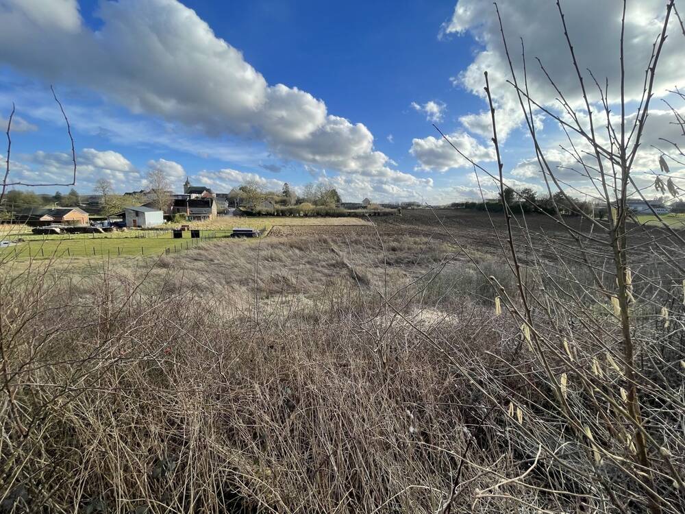 Terrain à vendre à Neuville 5600 70000.00€ chambres m² - annonce 399385