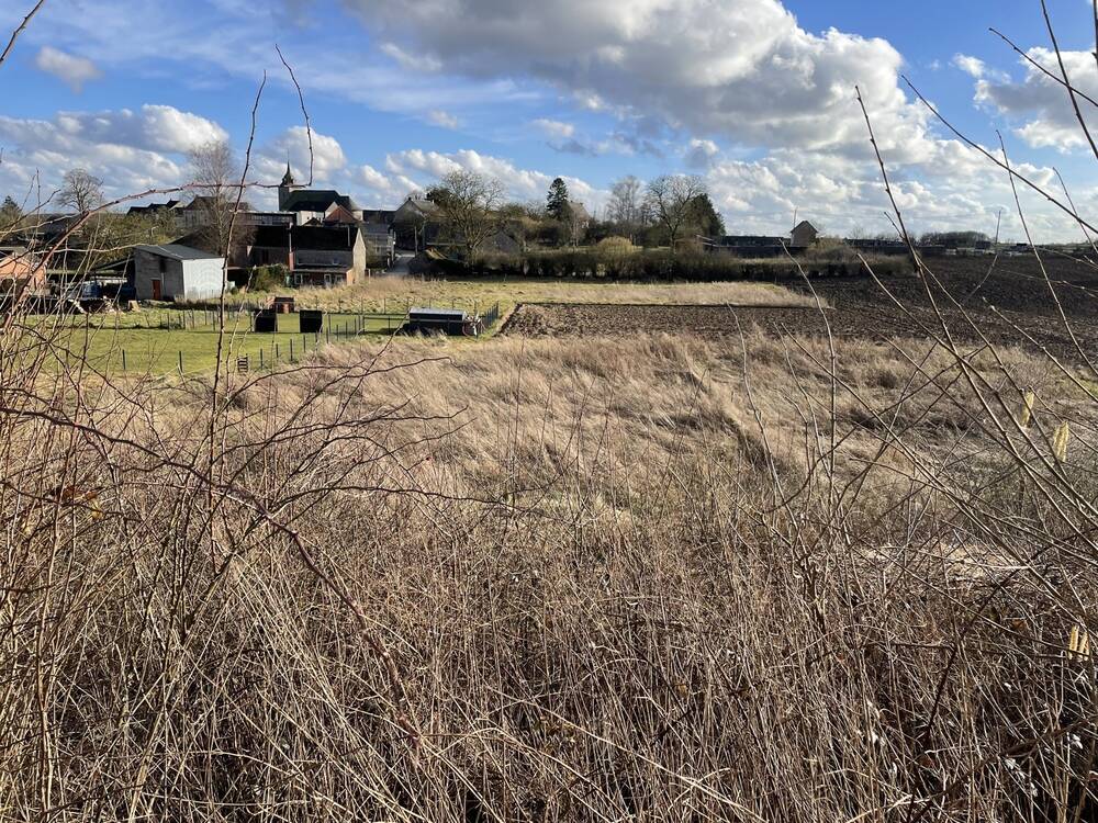 Terrain à vendre à Neuville 5600 75000.00€ chambres m² - annonce 399386