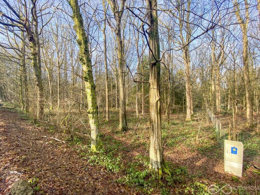 Terrain à vendre à Brûly-de-Pesche 5660 65000.00€ chambres m² - annonce 403530