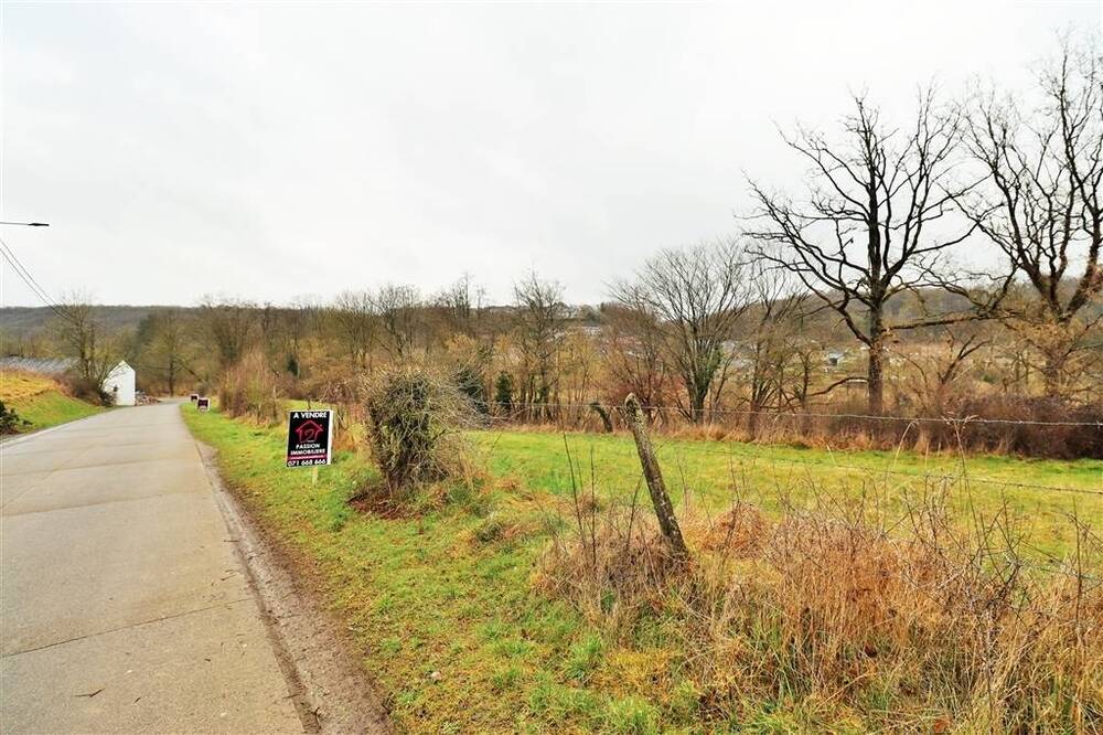 Terrain à vendre à Sautour 5600 90000.00€ chambres m² - annonce 404981