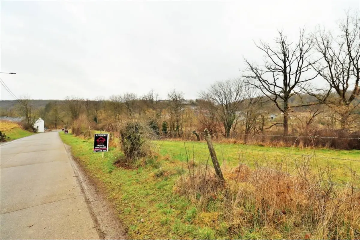 Terrain à vendre à Sautour 5600 90000.00€  chambres m² - annonce 404981