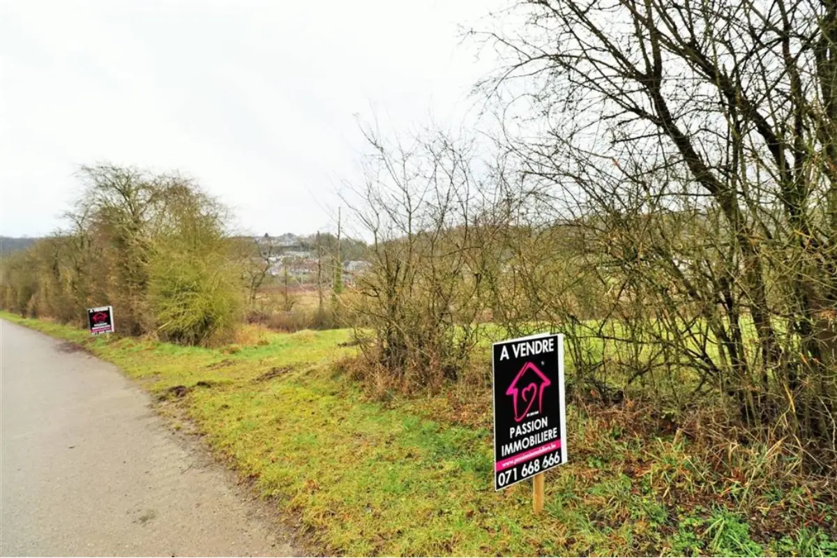 Terrain à vendre à Sautour 5600 80000.00€  chambres m² - annonce 404980