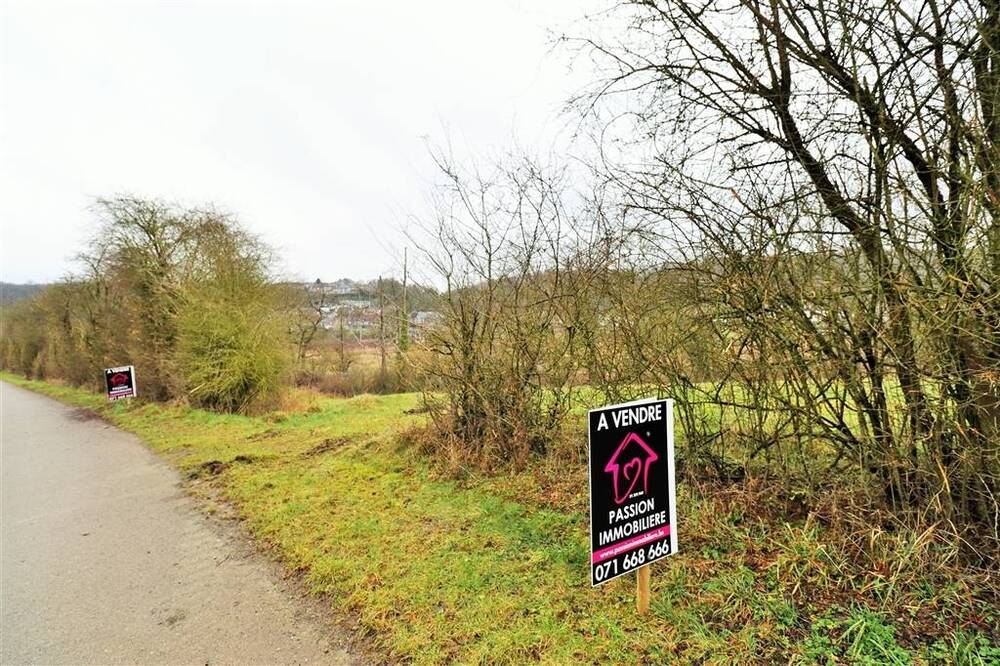 Terrain à bâtir à vendre à Sautour 5600 80000.00€  chambres m² - annonce 404980