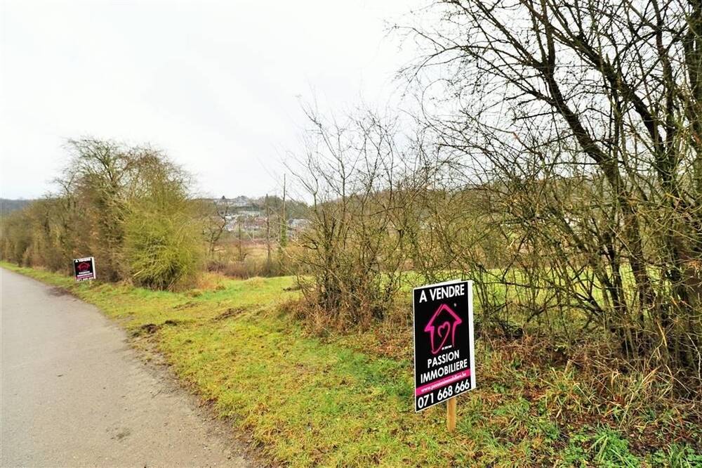 Terrain à vendre à Sautour 5600 80000.00€ chambres m² - annonce 404980